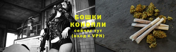 стафф Новозыбков