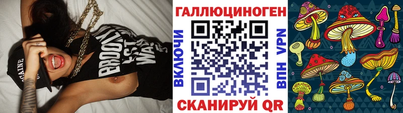 Галлюциногенные грибы Psilocybine cubensis Новое Девяткино